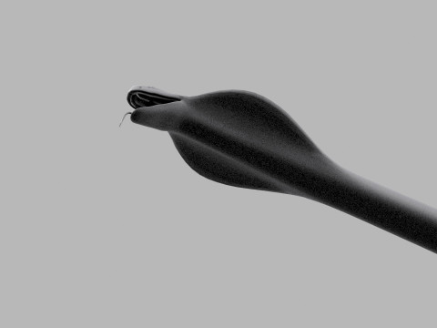 King Cobra Shape 3D Modell