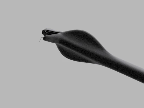 King Cobra Shape 3D Model