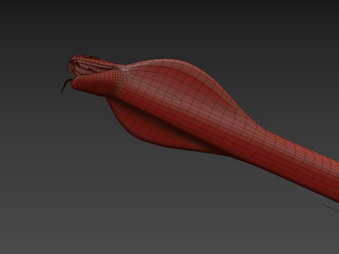 King Cobra Shape 3D Modell