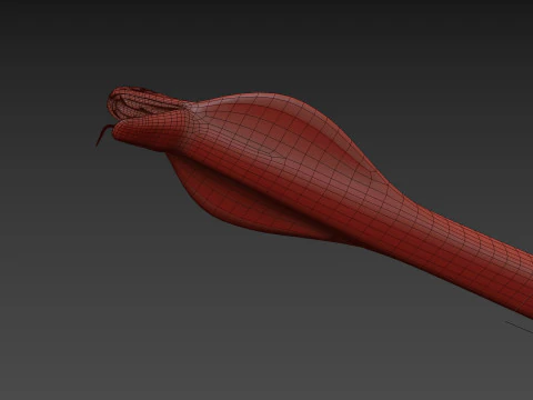 King Cobra Shape 3D Model