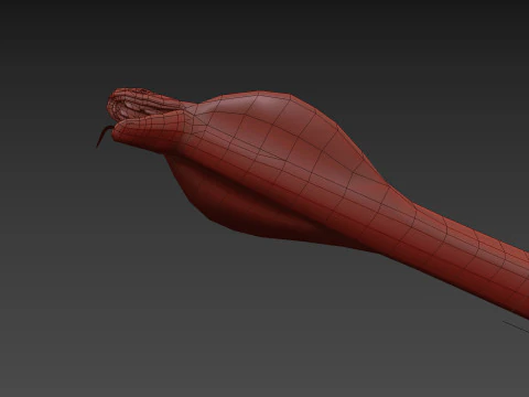 King Cobra Shape 3D Model