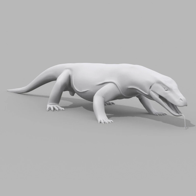 Komodo Dragon Shape 3D Model .c4d .max .obj .3ds .fbx .stl .blend 