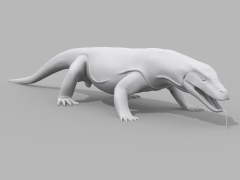Komodo Dragon Shape 3Dモデル