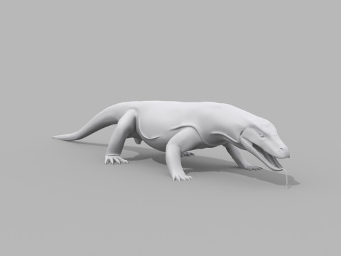 Komodo Dragon Shape 3D 모델