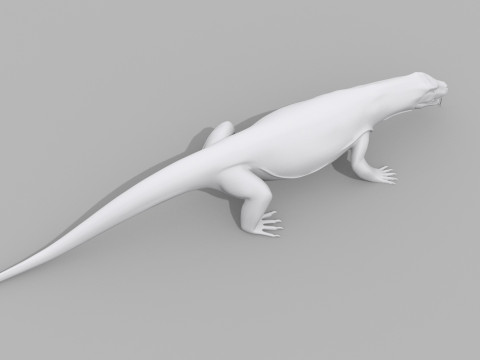 Komodo Dragon Shape 3D 모델