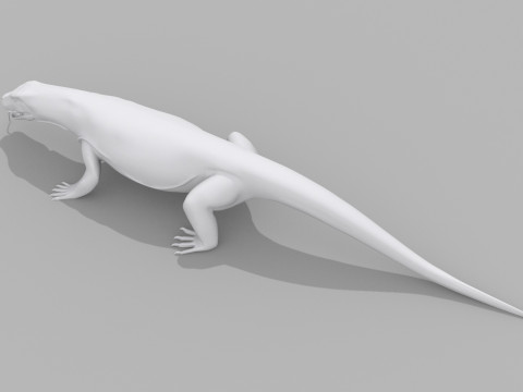 Komodo Dragon Shape 3D 모델