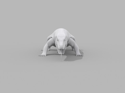 Komodo Dragon Shape 3D 모델