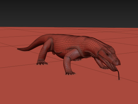 Komodo Dragon Shape 3D 모델