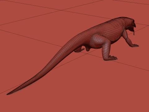 Komodo Dragon Shape 3D 모델