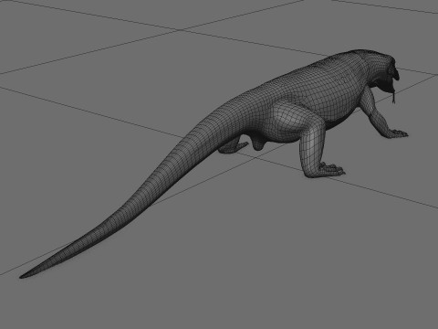 Komodo Dragon Shape 3D 모델