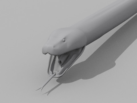 Burmese Python Snake Shape 3D 모델