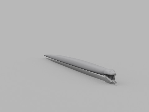 Burmese Python Snake Shape 3D Model