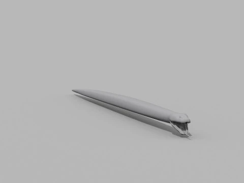 Burmese Python Snake Shape 3D Model