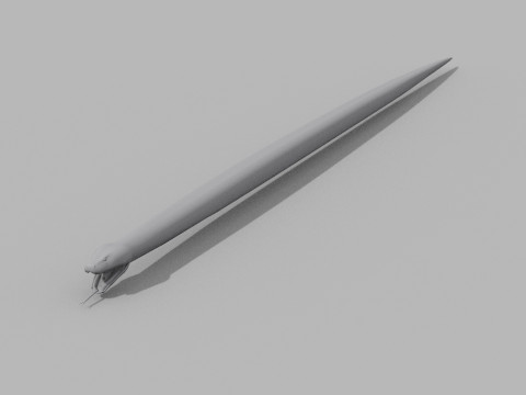 Burmese Python Snake Shape 3D Model