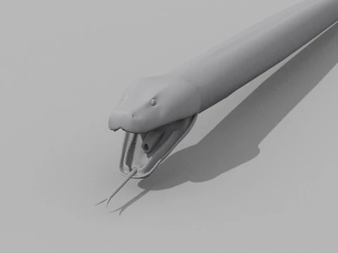 Burmese Python Snake Shape 3D Model