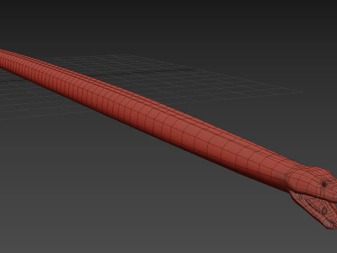 Burmese Python Snake Shape 3D Model