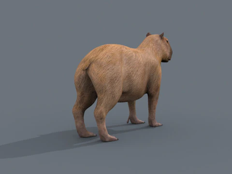 カピバラ Capivara - 8k - 3D アニメーション 3Dモデル
