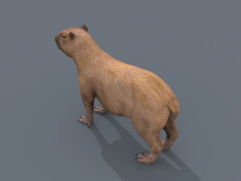 カピバラ Capivara - 8k - 3D アニメーション 3Dモデル