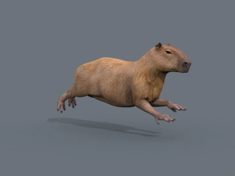 カピバラ Capivara - 8k - 3D アニメーション 3Dモデル