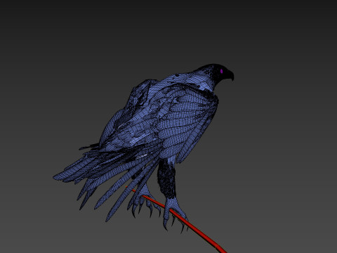 Pro Eagle - 8k - 3d animated 3D 模型