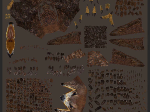 Pro Eagle - 8K - animazione 3D Modello 3D