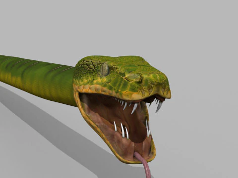Pro Green Boa Snake - 8k - 3d animated 3D Model
