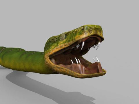Pro Green Boa Snake - 8k - 3d animated 3D Model