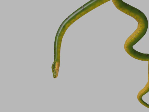 Pro Green Boa Snake - 8k - 3d animated 3D Model