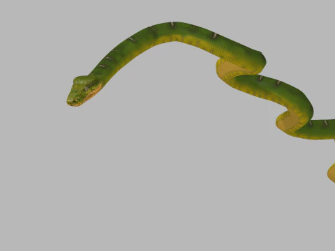 Pro Green Boa Snake - 8k - 3d animated 3D Model