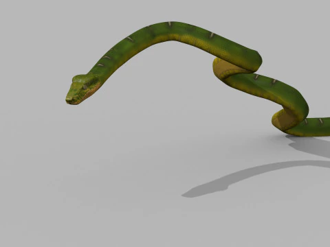Pro Green Boa Snake - 8k - 3d animated 3D Model