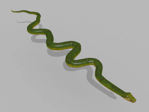Pro Green Boa Snake - 8k - 3d animated 3D Model
