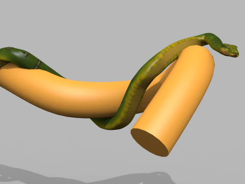 Pro Green Boa Snake - 8k - 3d animated 3D Model