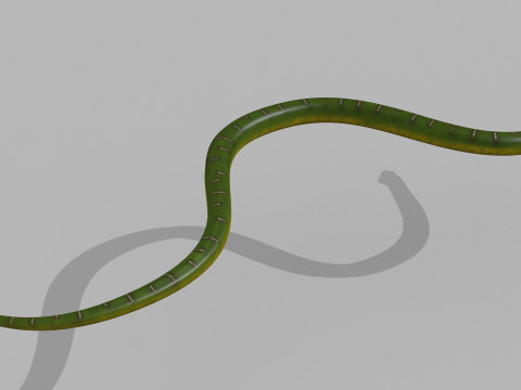 Pro Green Boa Snake - 8k - 3d animated Modelo 3D