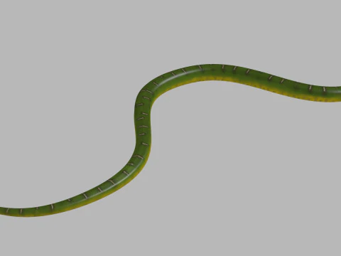 Pro Green Boa Snake - 8k - 3d animated 3D Model