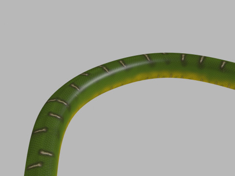 Pro Green Boa Snake - 8k - 3d animated Modelo 3D