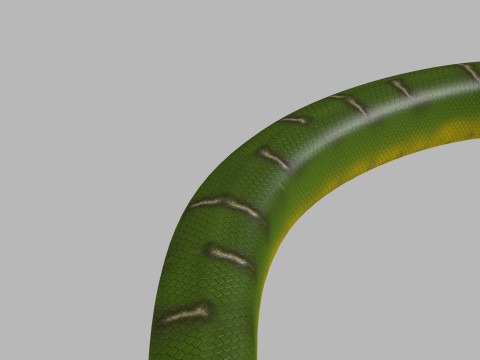 Pro Green Boa Snake - 8k - 3d animated Modelo 3D