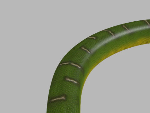 Pro Green Boa Snake - 8k - 3d animated 3D Model