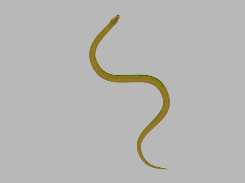Pro Green Boa Snake - 8k - 3d animated 3D Model