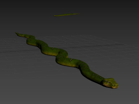 Pro Green Boa Snake - 8k - 3d animated 3D Model
