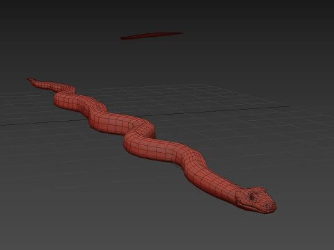 Pro Green Boa Snake - 8k - 3d animated 3D Model