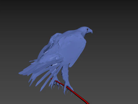 Pro Bald Eagle - 8k - 3d animated 3D Model