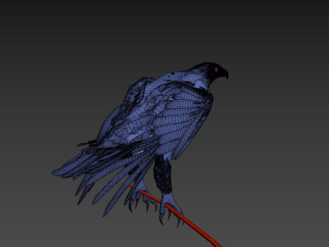 Pro Bald Eagle - 8k - 3d animated 3D Model