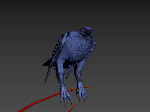 Pro Bald Eagle - 8k - 3d animated 3D Model