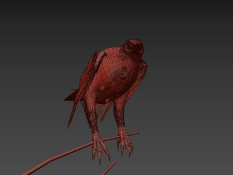 Pro Bald Eagle - 8k - 3d animated 3D Model
