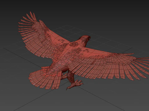 Pro Bald Eagle - 8k - 3d animated 3D Model