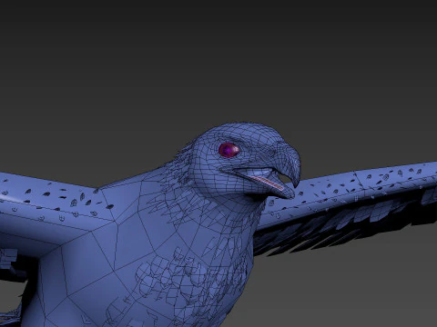Pro Bald Eagle - 8k - 3d animated 3D Model
