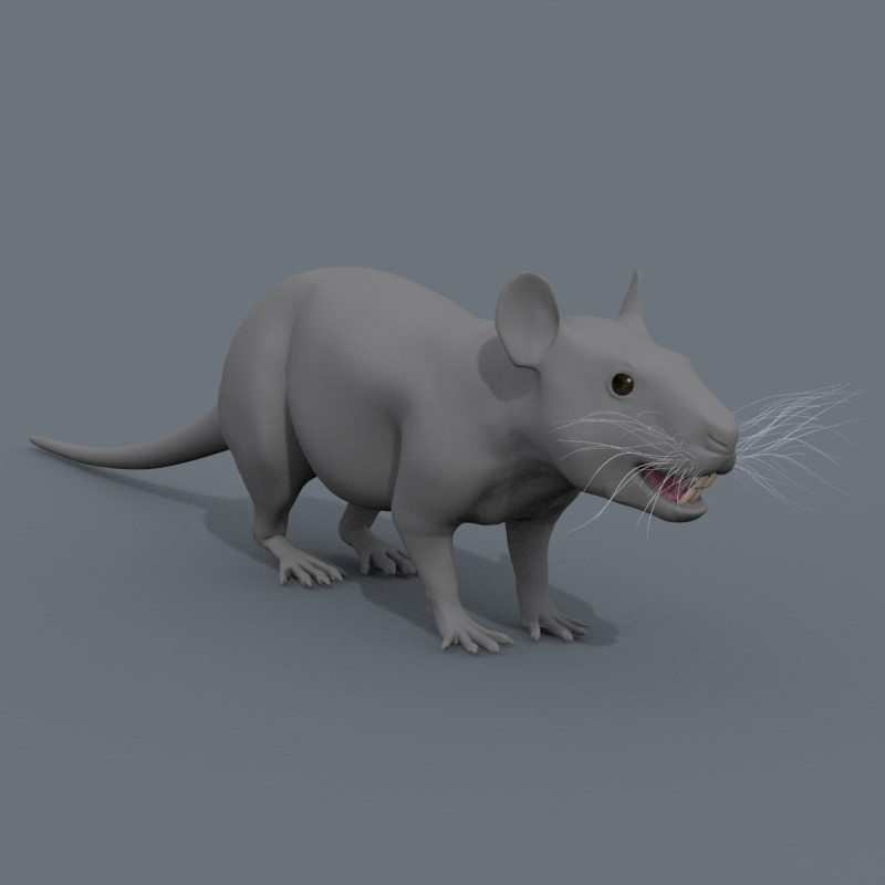 쥐 쥐 모양 3D 모델 .c4d .max .obj .3ds .fbx .stl .blend 
