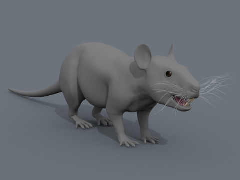 Forme de souris rat Modèle 3D