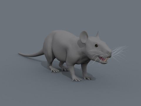 쥐 쥐 모양 3D 모델