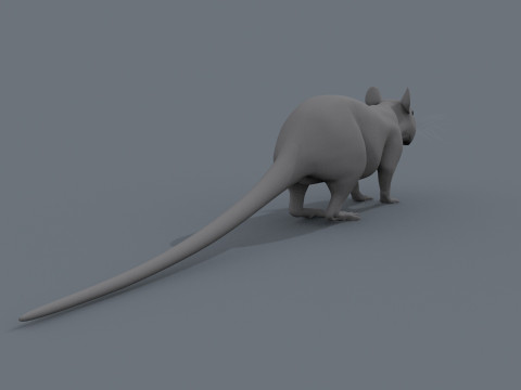 쥐 쥐 모양 3D 모델